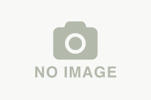 画像なしテスト